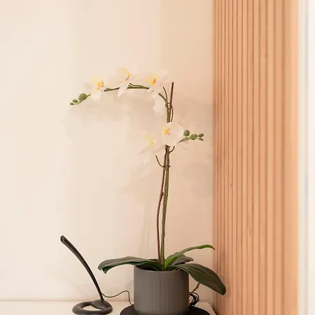 Hyper Centre - Très Bien équipé Appartement Toul